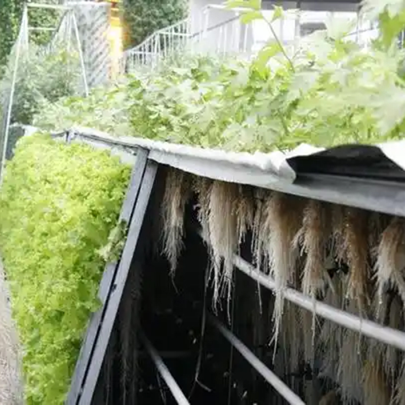 三明市气雾培种植槽 - 推荐